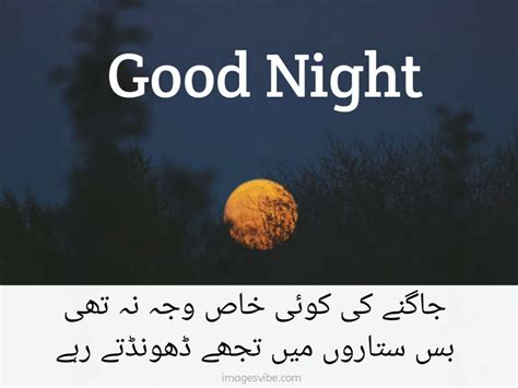 good night in urdu